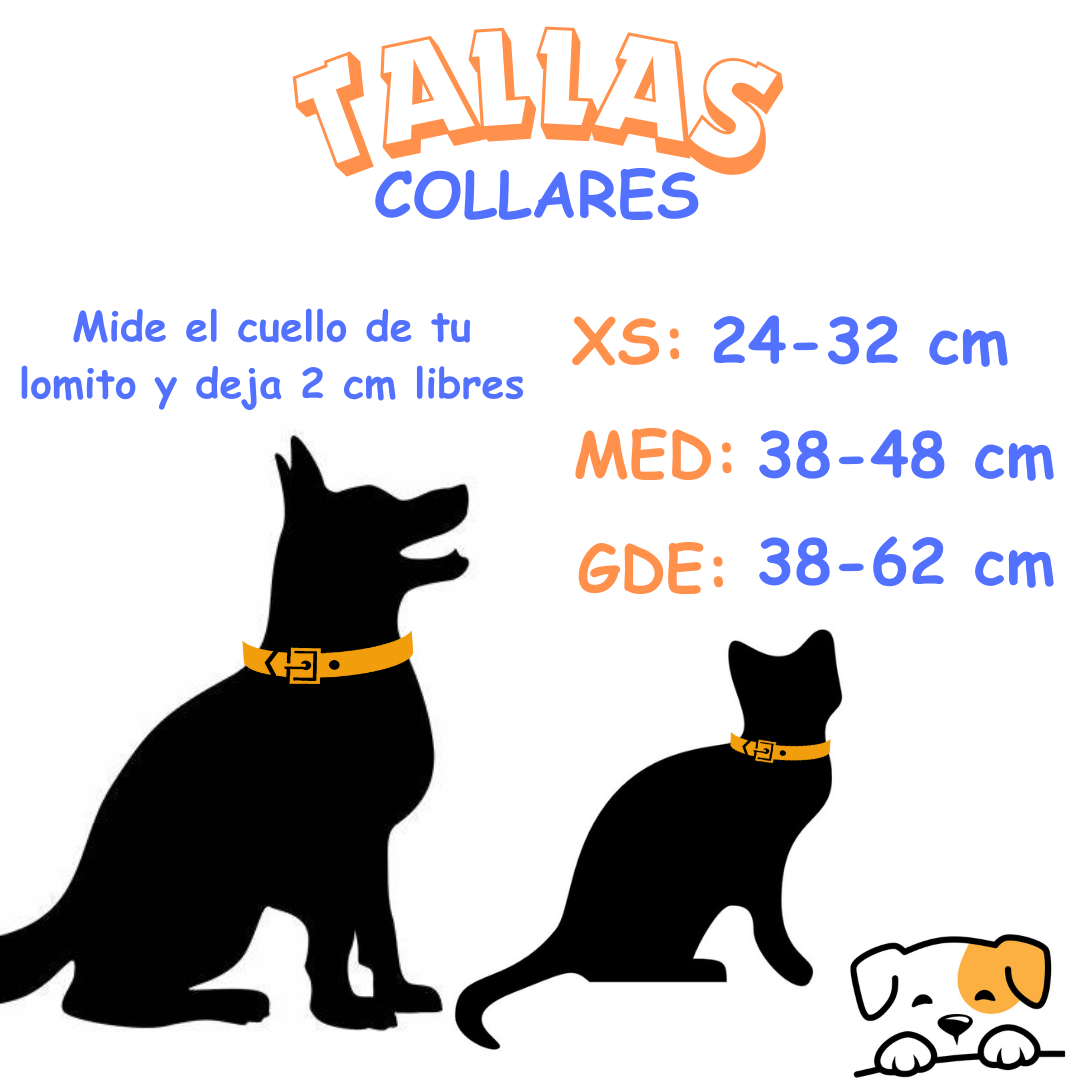 COLLAR PERSONALIZADO PARA TUS LOMITOS