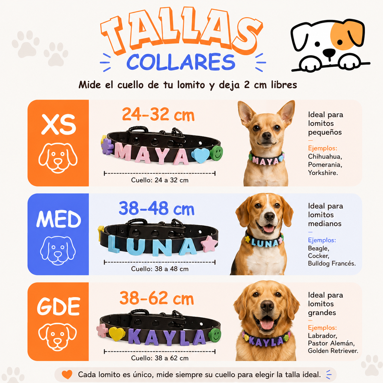 Collar Personalizado para tus Lomitos 🐾