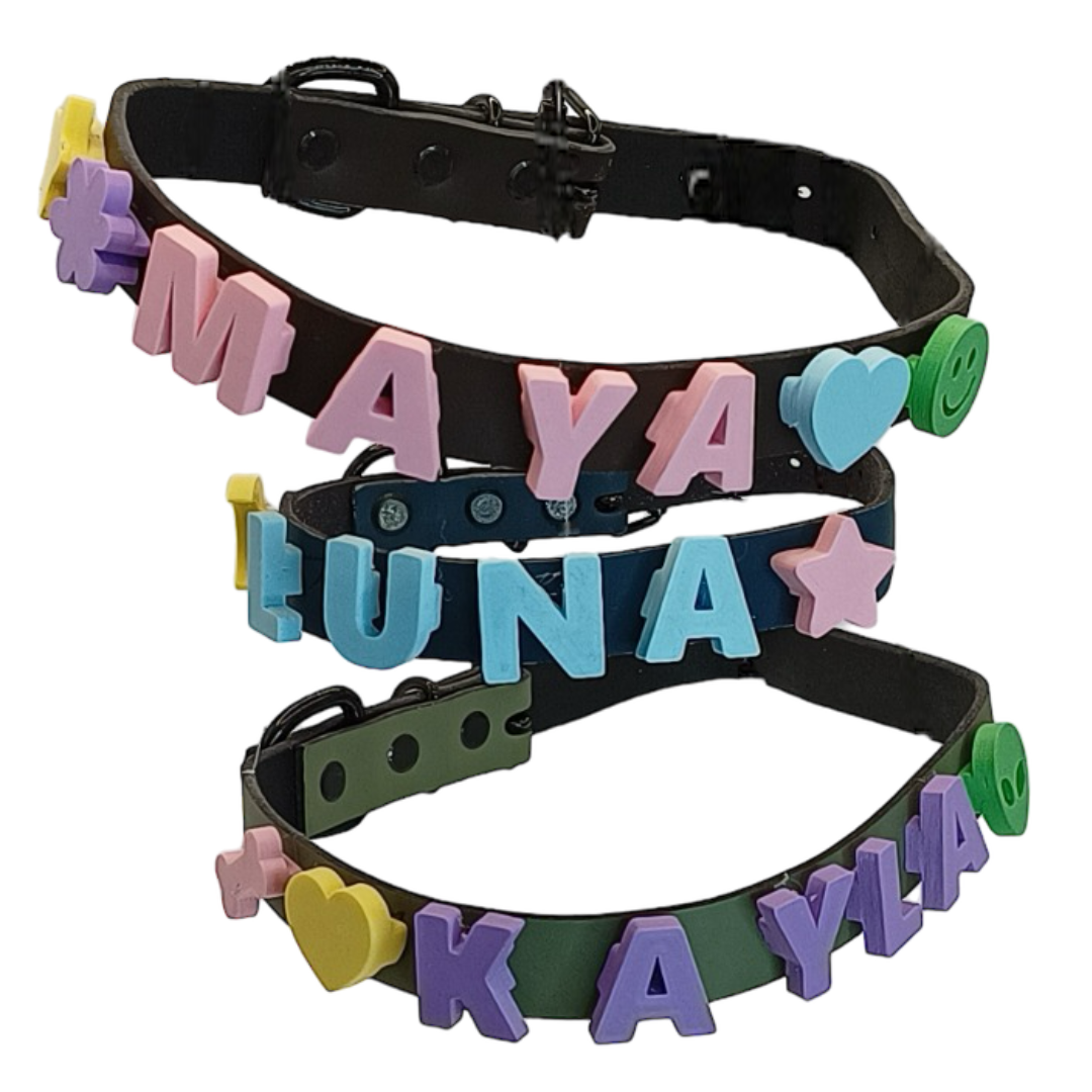 COLLAR PERSONALIZADO PARA TUS LOMITOS