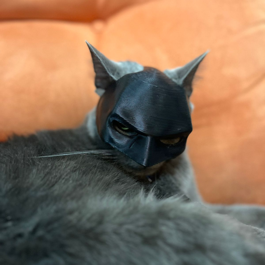 Máscara para gato Bat-Cat