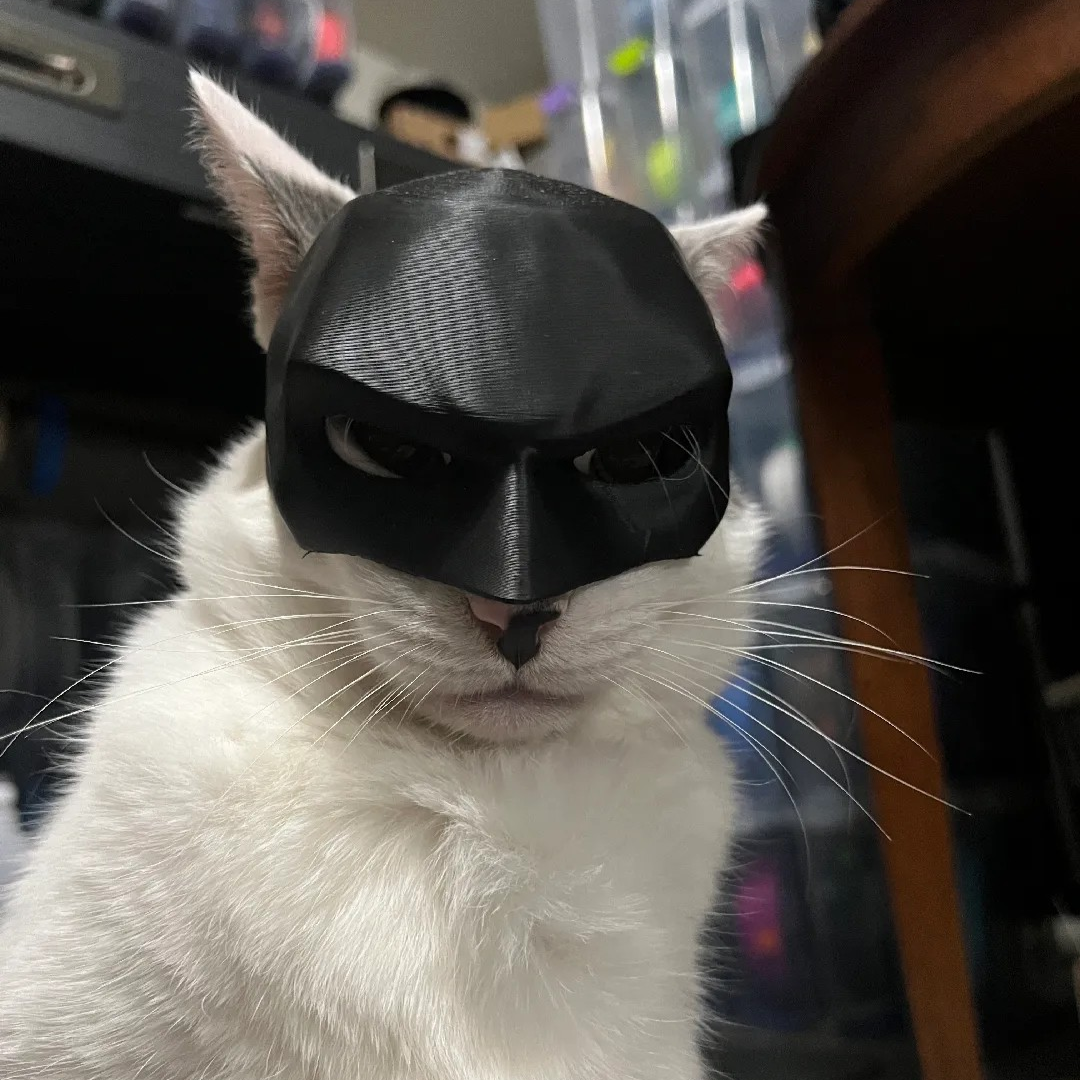 Máscara para gato Bat-Cat